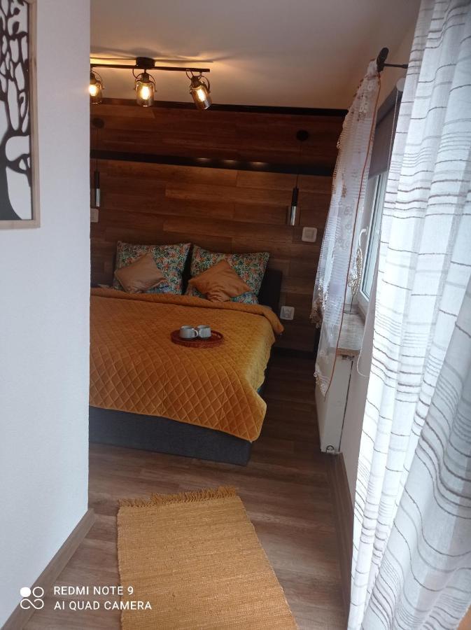 Apartamenty Sowianka Ludwikowice Kłodzkie Eksteriør bilde
