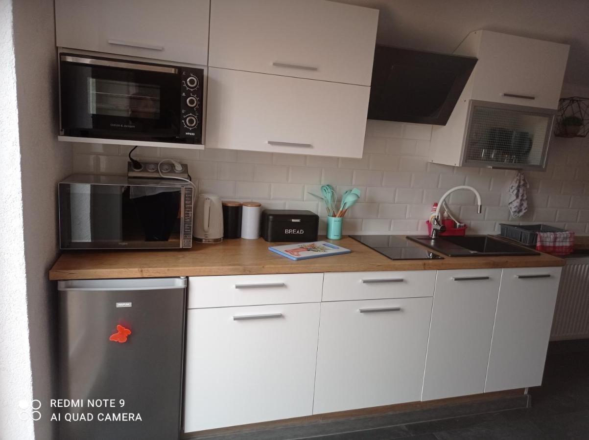 Apartamenty Sowianka Ludwikowice Kłodzkie Eksteriør bilde