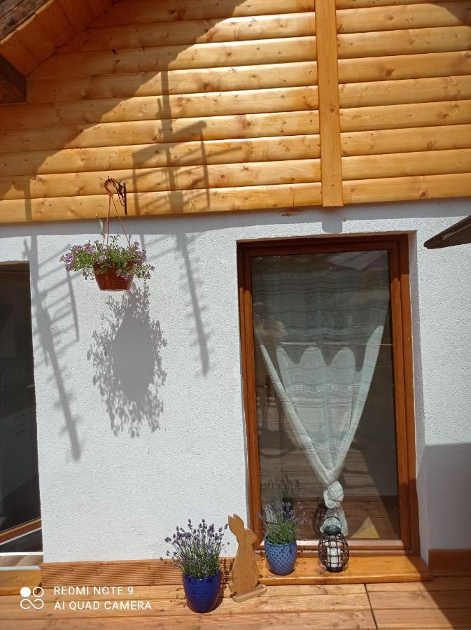Apartamenty Sowianka Ludwikowice Kłodzkie Eksteriør bilde
